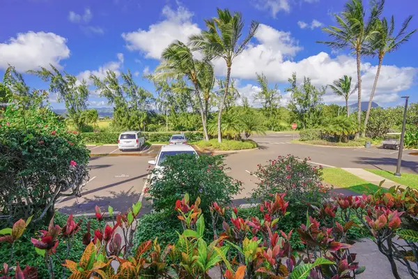 Unwind beneath swaying palms and tropical greenery daily