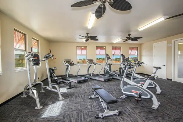 Modern gym for maintaining your workout routine
