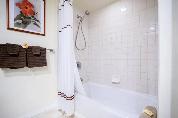 Modern Bathroom with Essentials