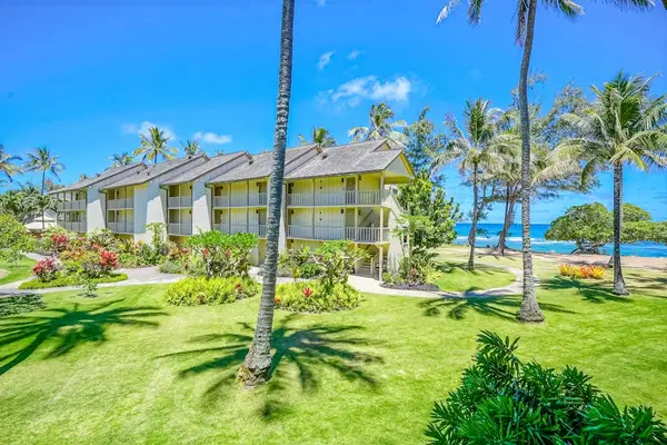 🏝️ Surrounded by Hawaiian Beauty