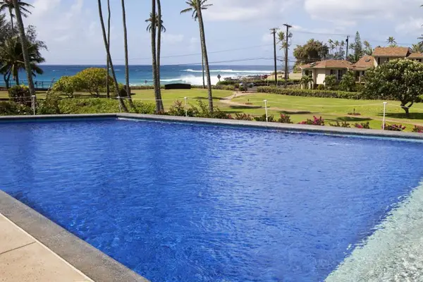 Cool Off Under the Hawaiian Sun