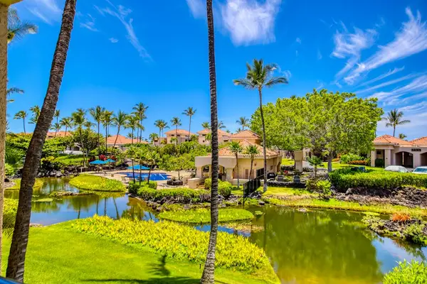 Peaceful Lagoon Views Surrounded By Tropical Beauty