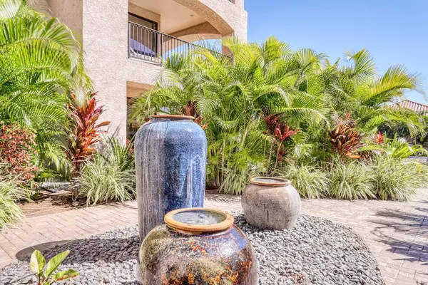 Lush Tropical Gardens With Peaceful Water Features