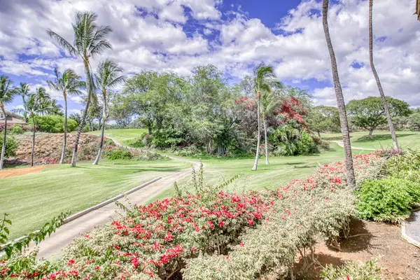 Scenic garden views framed by vibrant tropical landscaping