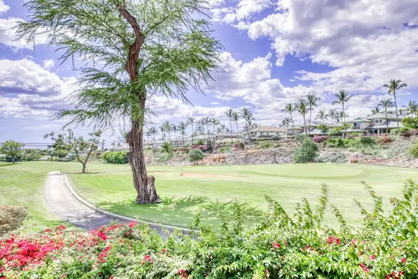 Beautiful tropical grounds surrounded by lush greenery
