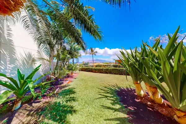 Landscaped grounds lead visitors through palms toward shared resort amenities