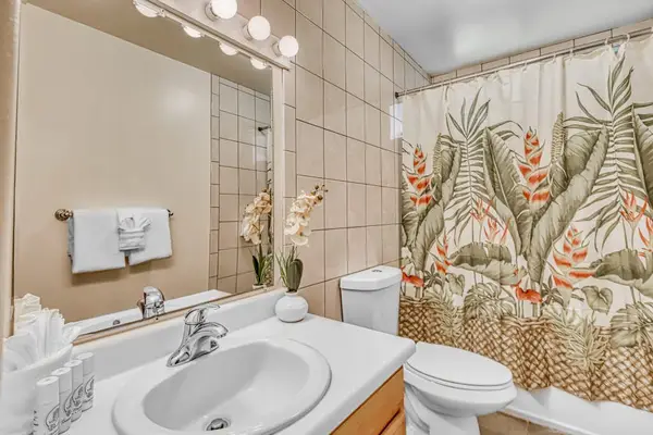 Single Vanity Sink, Large Mirror, Toilet & Shower/Tub Combination