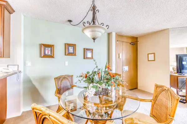 Sunlit Dining For Memorable Meals