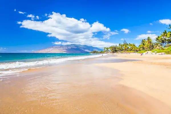Golden sandy beach just moments away