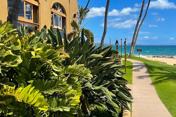 Lush tropical courtyard path
