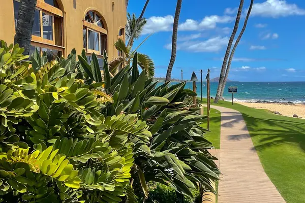 Tropical courtyard leading to the beach