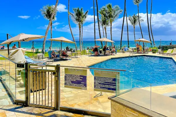 Resort pool surrounded by tropical palms