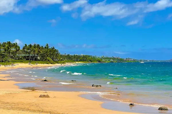 Relax on a beautiful sandy beach
