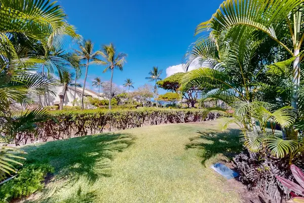 Beautiful Tropical Garden Pathways