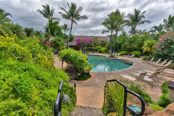 Lagoon Style Pool Surrounded By Palms