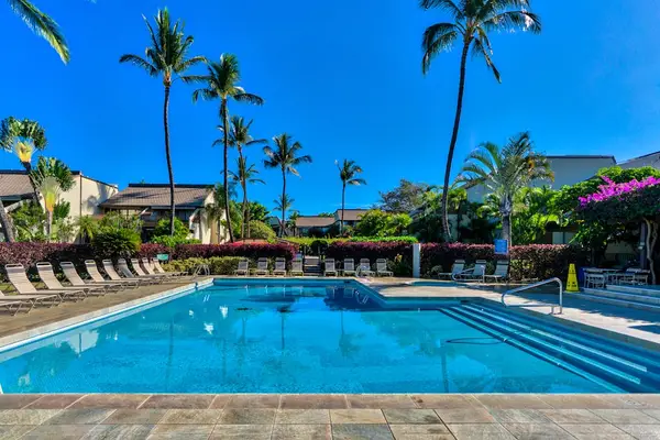 Sparkling Resort Pool Surrounded By Palms