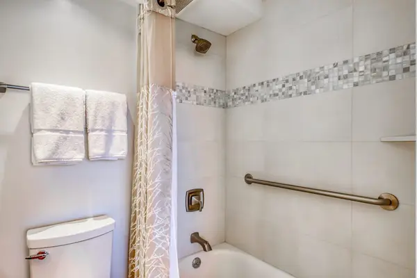 Accessible shower with grab bars