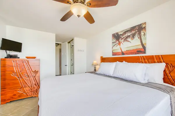 Spacious king bedroom with a TV and tropical-inspired décor