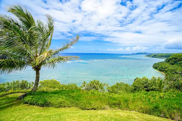 Breathtaking Pacific Ocean & lush coastline view.