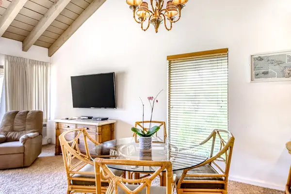 Bright living space with vaulted ceilings