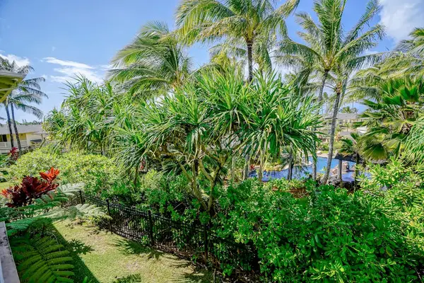 Lush tropical paradise, vibrant flowers, and swaying palms—the perfect place to relax and soak in the island atmosphere.