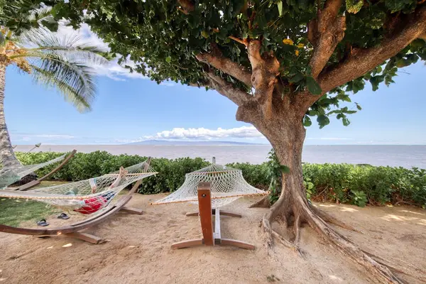 Sway peacefully in the hammock overlooking sparkling shoreline and endless ocean horizons