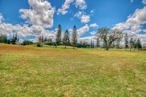 Expansive Tropical Lawn For Relaxation