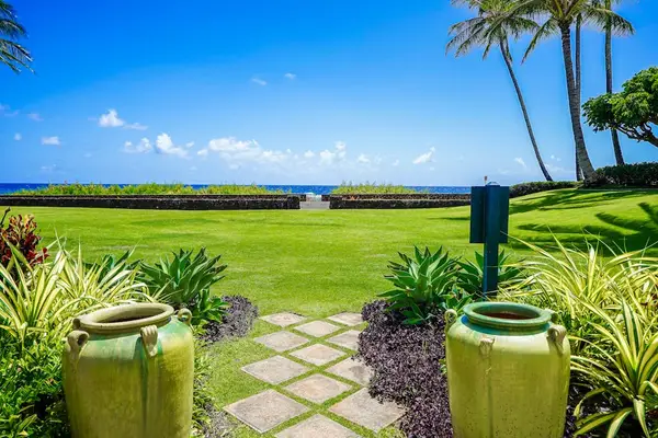 Enjoy the Beauty of the Tropical Landscape
