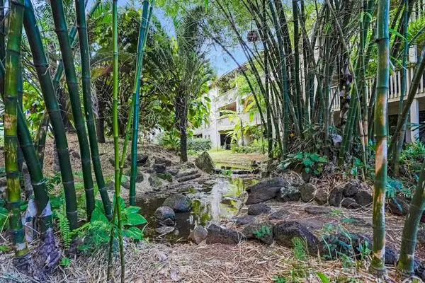 Enjoy peaceful mornings in the fresh island air