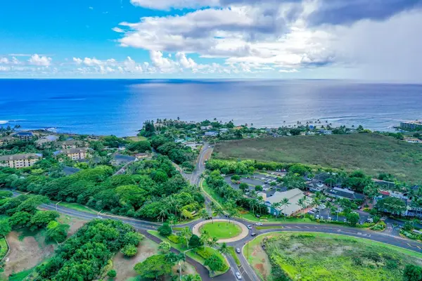 A Bird's-Eye View of Paradise