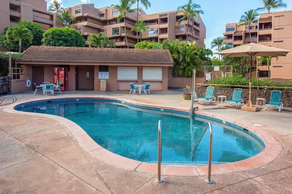 Palm Lined Pool Oasis In Paradise