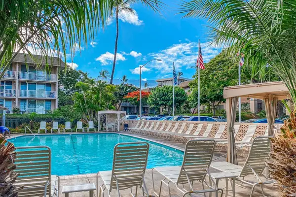 Resort Pool Surrounded By Palm Trees