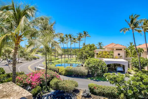 Palm Lined Paradise At Every Turn
