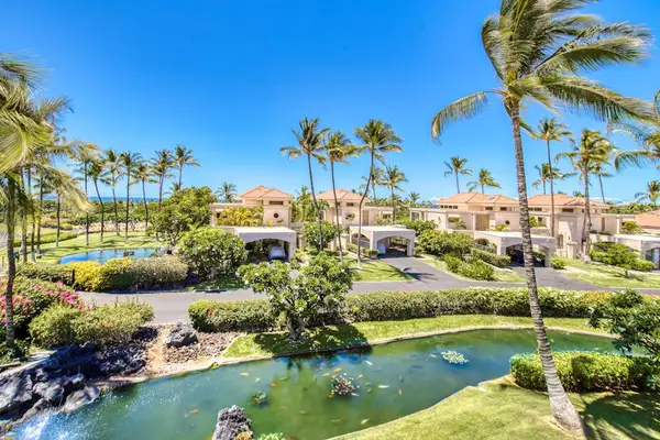 Lush Resort Grounds Surrounded By Palms