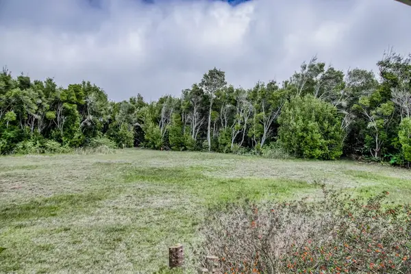 Expansive Lawn Surrounded By Nature