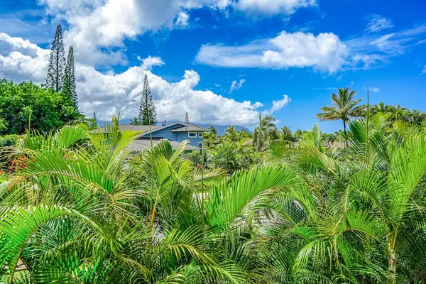 Tropical Front Yard Surrounded By Lush Greenery