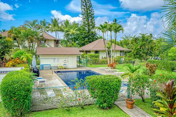 Tropical Pool Oasis Surrounded By Greenery