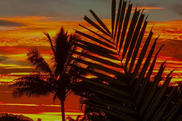 Magical Sunset Lanai With Island Glow