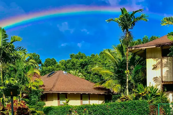 Rainbow Over A Tropical Front Yard