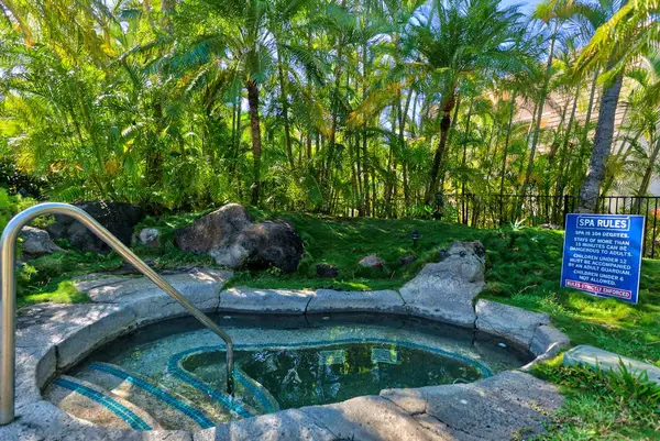 Garden pool area blends rocks flowing water and tropical foliage