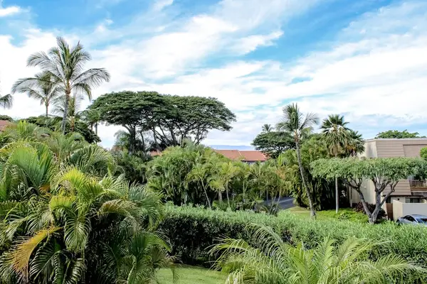 Tropical resort grounds feature mature trees colorful gardens and pathways