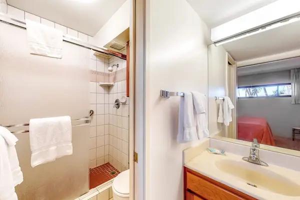 Master bathroom with walk-in shower.