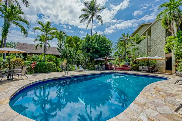 Tropical Pool Surrounded By Palms