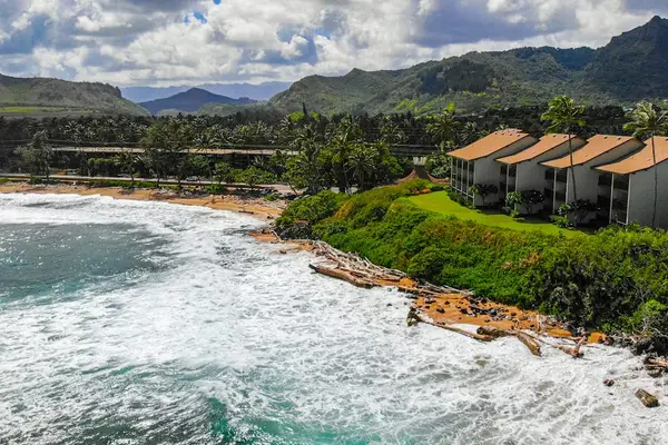 Surrounded by Lush Tropical Landscapes