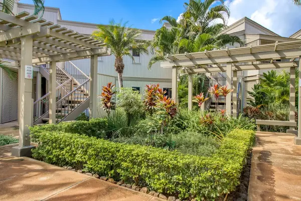 Lush Tropical Garden Walkways