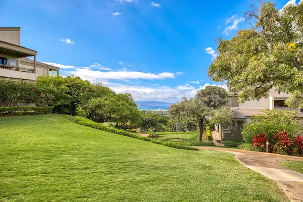 Expansive Lawn With Island Charm