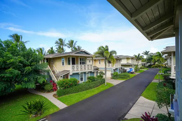 Peaceful residential street surrounded by lush palm trees