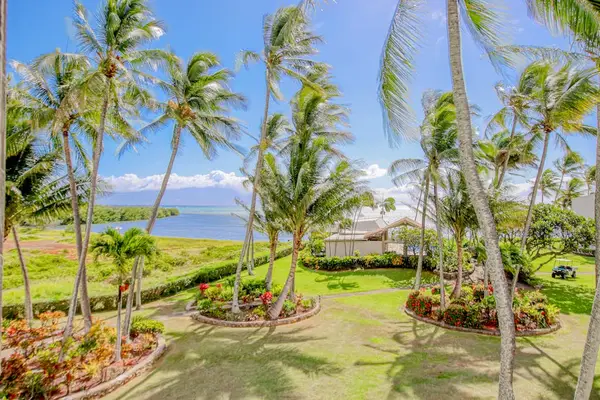Sunlit coconut trees bring tropical beauty and refreshing island vibes to every stay