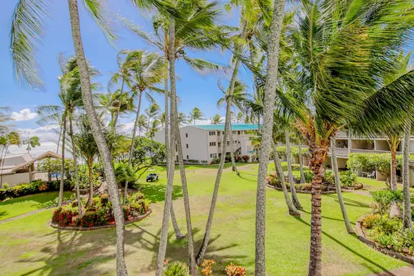 Refresh your senses beneath towering coconut trees and peaceful tropical island landscapes together