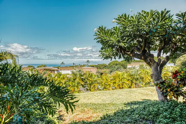 Unwind beneath swaying palms and tropical greenery daily